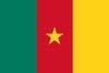 закупки и тендеры Камерун