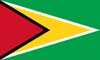 закупки и тендеры Гайана