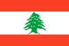 закупки и тендеры Ливан